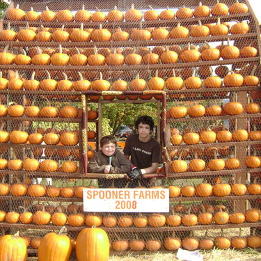 My boys in the pumpkin patch 2008.