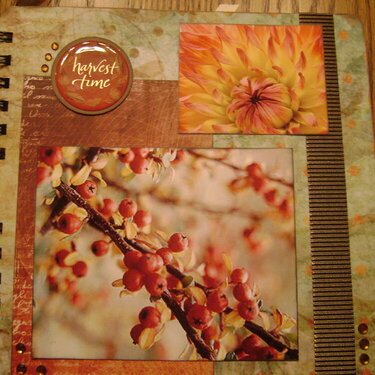 Autumn Spendor Album