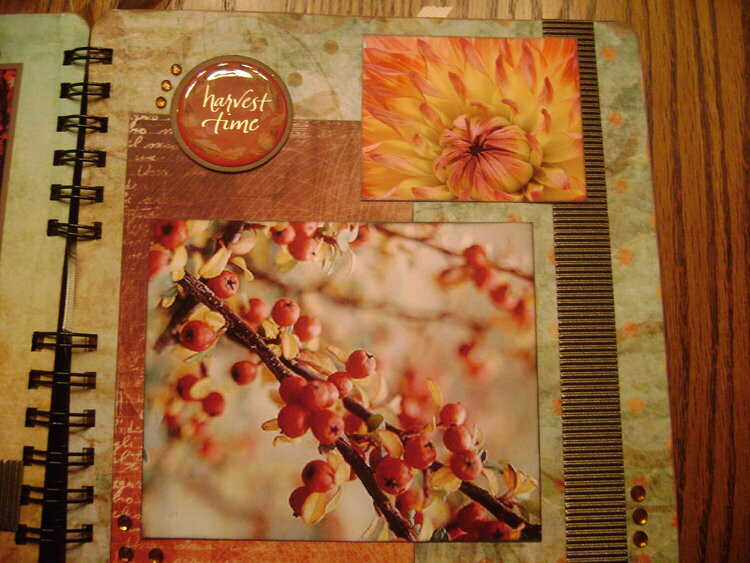 Autumn Spendor Album