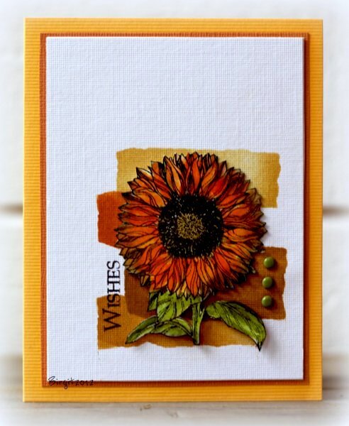 Sunflower Wishes