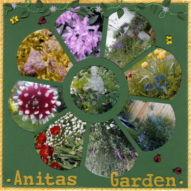 Anita&#039;s Garden