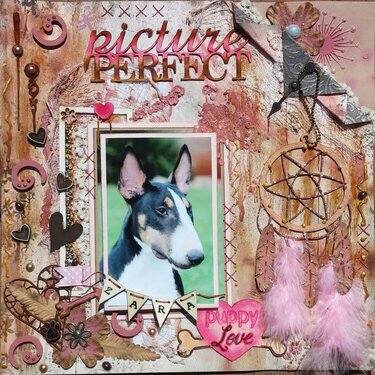 Picture Perfect