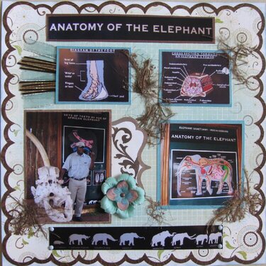 Anatomy of the Elephant