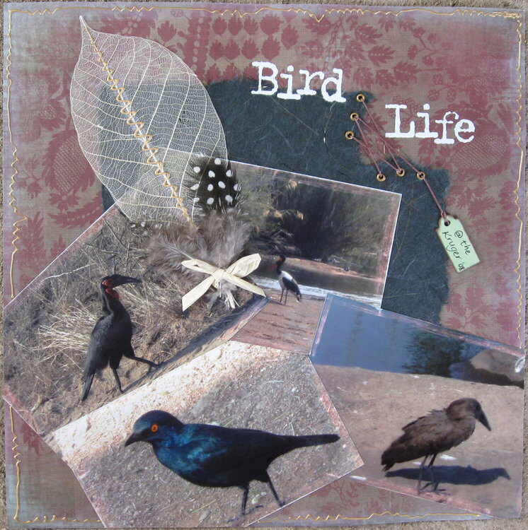 Bird Life  @ the Kruger &#039;08