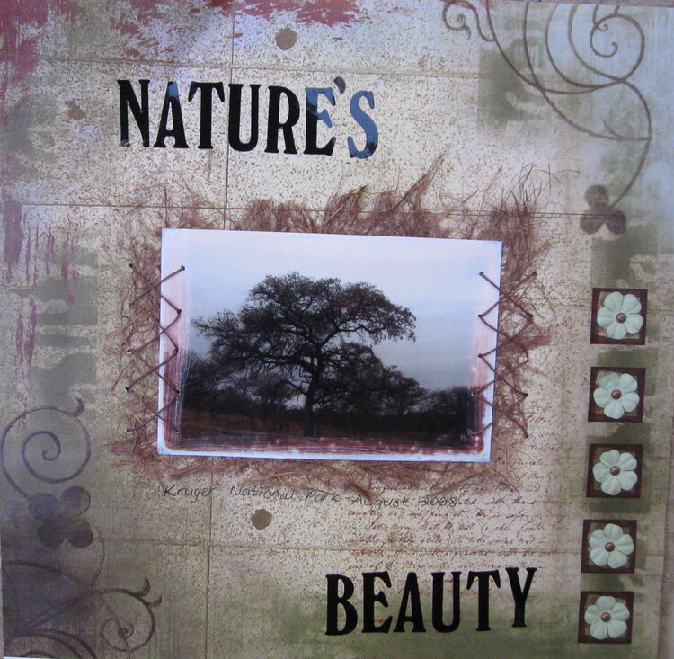 Nature's Beauty