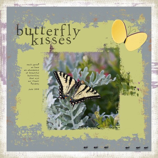 butterfly kisses - new designer Rocco Baviera
