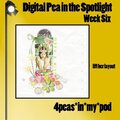 Week Six - Digital Pea in the Spotlight!!!