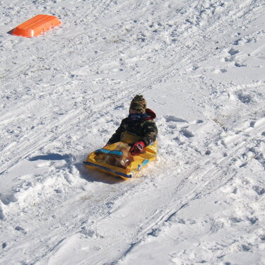 coop redneck sledding