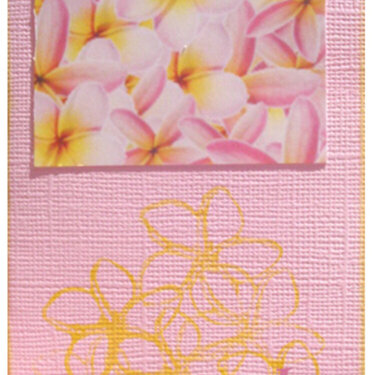 AED birthday card - frangipani&#039;s front