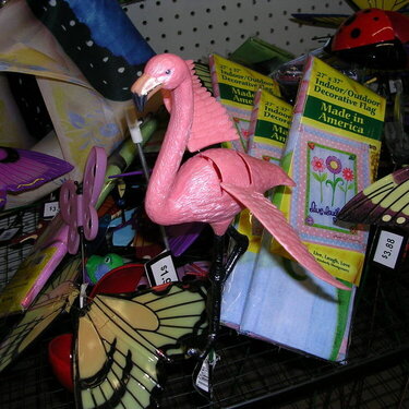 A Pink Flamingo -9 Pts