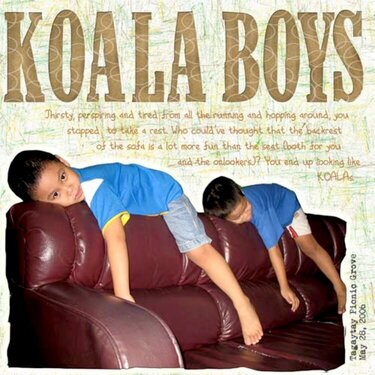 Koala Boys