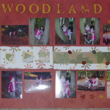 Woodland Walk Nov 5th 2005