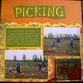 Pumpkin Picking 2005