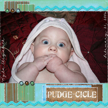 Pudge-Cicle