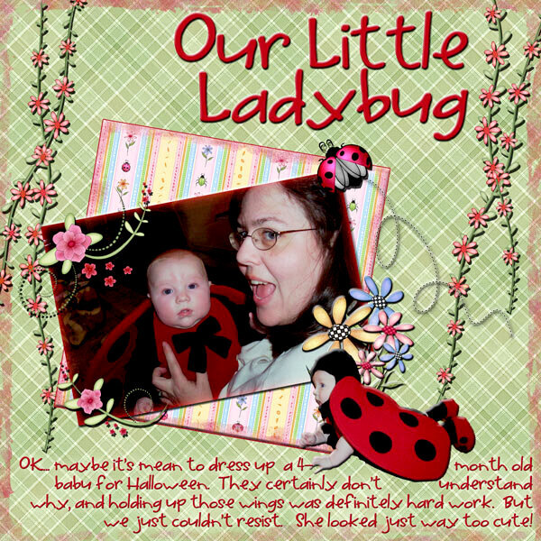 Our Little Ladybug