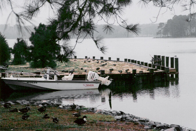 Looking out on Assawoman Bay