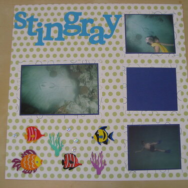 Stingray