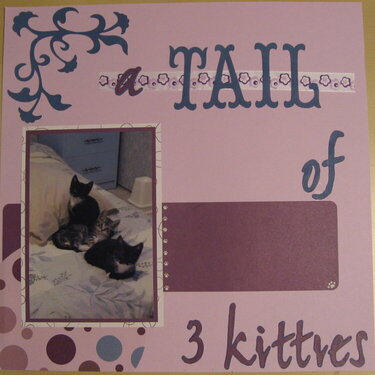 Tail of 3 Kitties