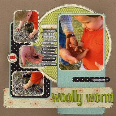 Woolly Worm - New Scenic Route