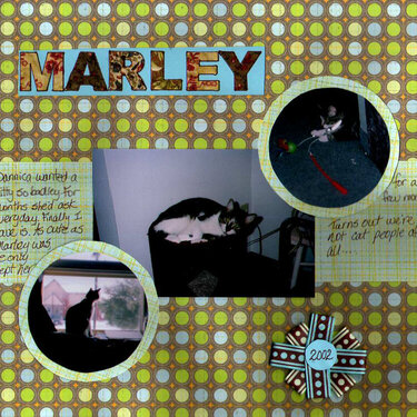 Marley - week 3