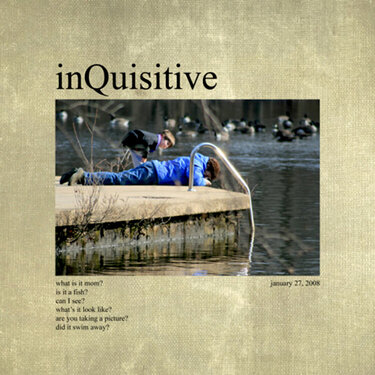 InQuisitive