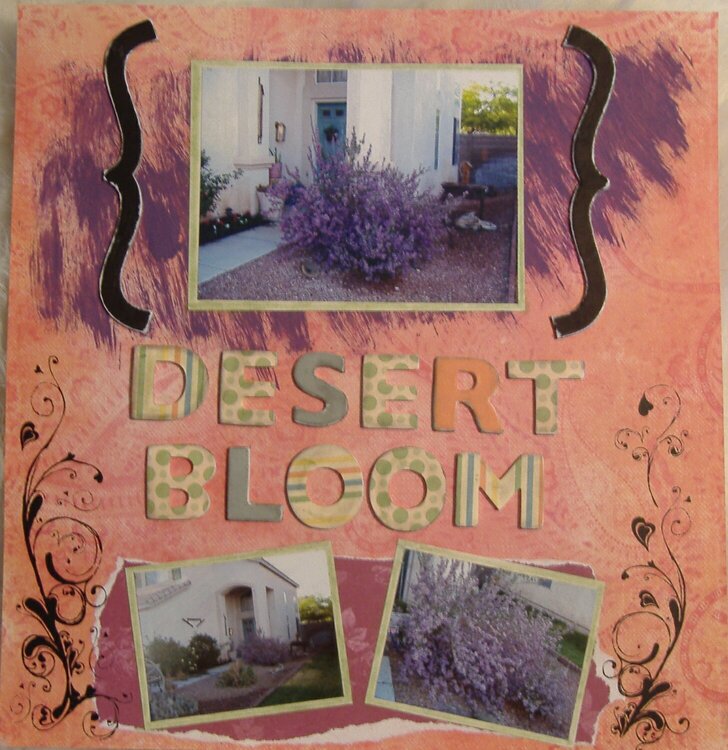 desert bloom