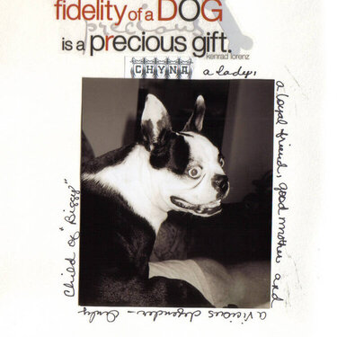 Fidelity of a Dog