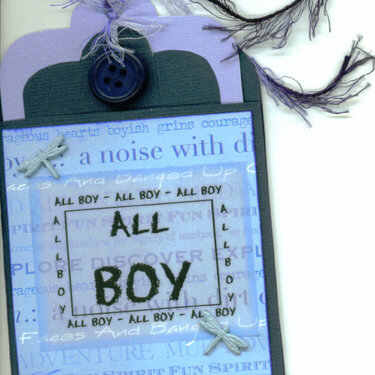 All Boy Library Pocket and Tag