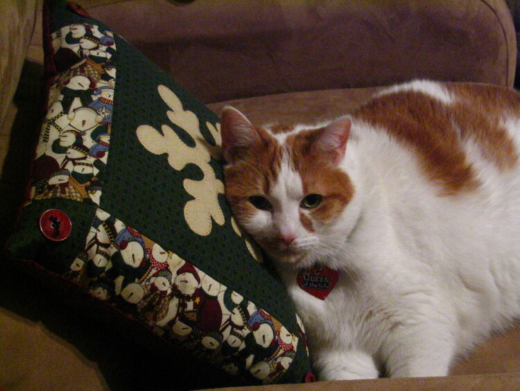 Pekoe on another couch.
