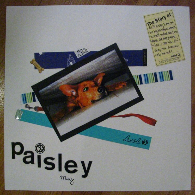 Paisley May -