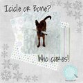 Icicle or Bone? Who Cares!