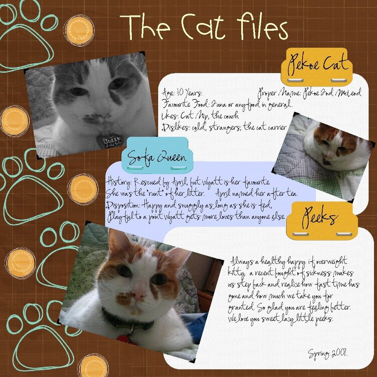 The Cat Files.. Pekoe Cat.