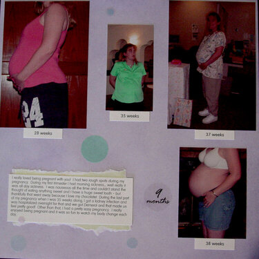 Pregnancy Page