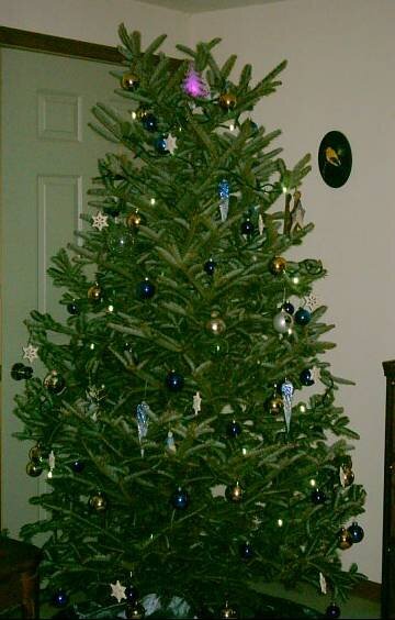 Our christmas tree