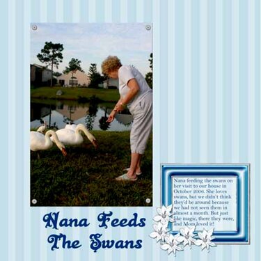 Nana and The Swans