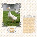 Sunny The White Duckie