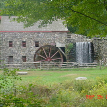 Marlboro Grismill in Summer