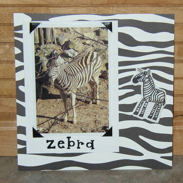 Zoo - Zebra