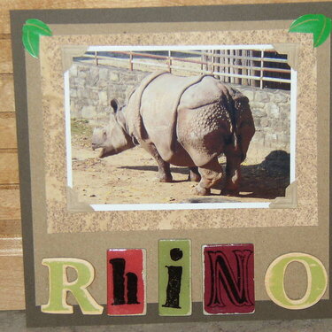 Zoo - Rhino