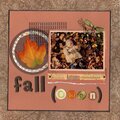 Fall (Owen)
