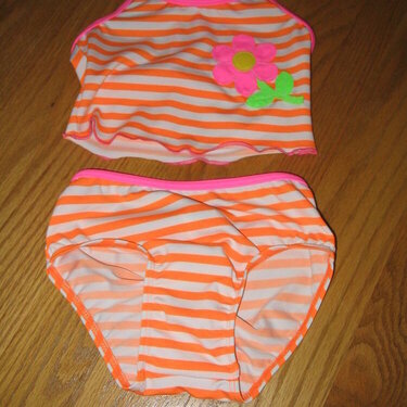 #18-An orange swimsuit  6pts.
