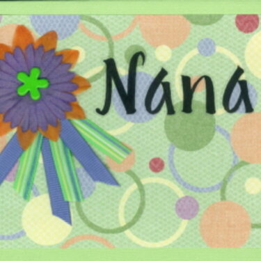 Nana&#039;s Mother&#039;s Day 2008