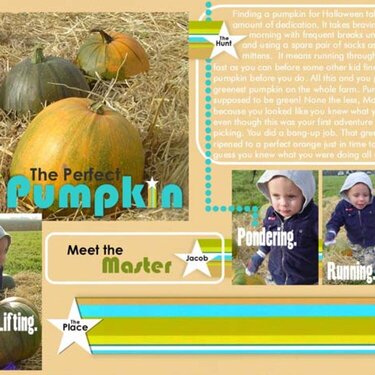 The Perfect Pumpkin (as seen in October 2007 CK)