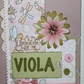 Album for Viola