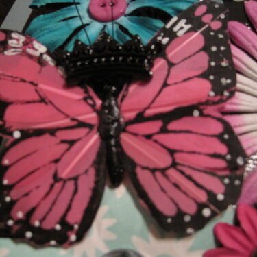 Queen Butterfly...