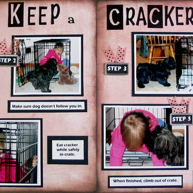 How to Keep a Cracker Safe - 2-page spread