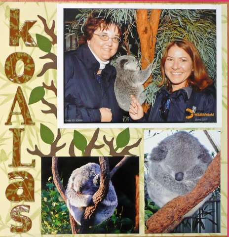 Koalas - left page