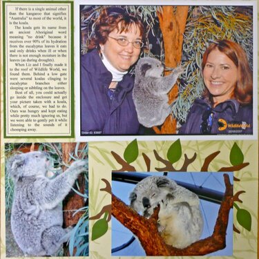 Koalas, right page