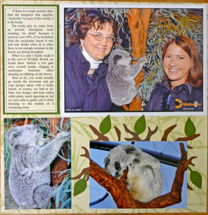 Koalas, right page