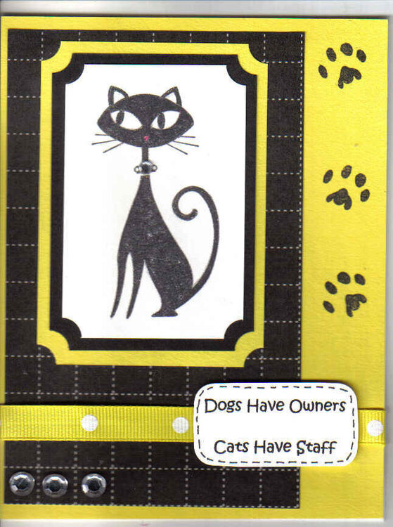 Dogs Have Owners....